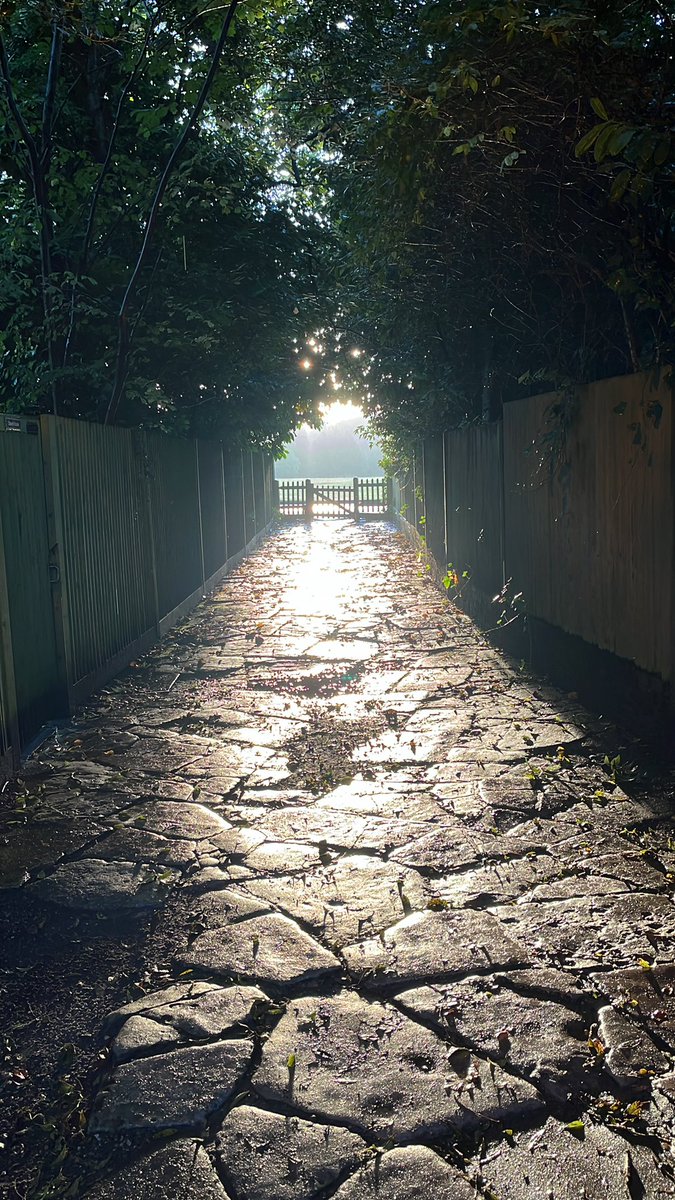 Good morning everyone!