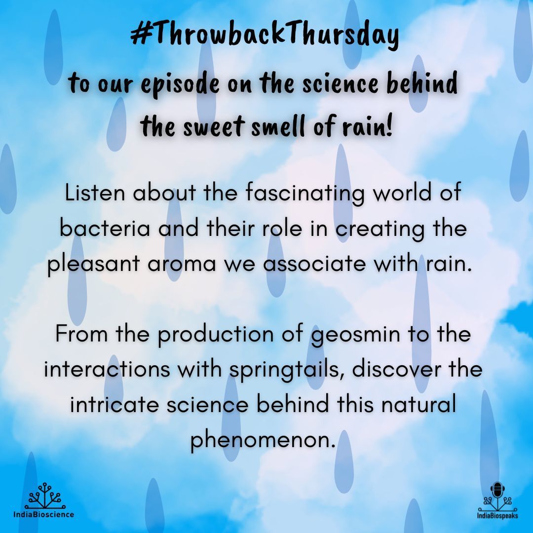 IndiaBioscience.org (@indiabioscience) on Twitter photo ✨ #ThrowbackThursday Alert! ✨🔙
<a href="/IndiaAsksWhy/">IndiaAsksWhy - Science podcast</a> | Why does rain smell good? 🌧️
Find out the intricate interactions between bacteria and springtails, and learn about the broader implications of secondary metabolites in the world of #science.
👉 buff.ly/4gIumCT ✨ #ThrowbackThursday Alert! ✨🔙
<a href="/IndiaAsksWhy/">IndiaAsksWhy - Science podcast</a> | Why does rain smell good? 🌧️
Find out the intricate interactions between bacteria and springtails, and learn about the broader implications of secondary metabolites in the world of #science.
👉 buff.ly/4gIumCT