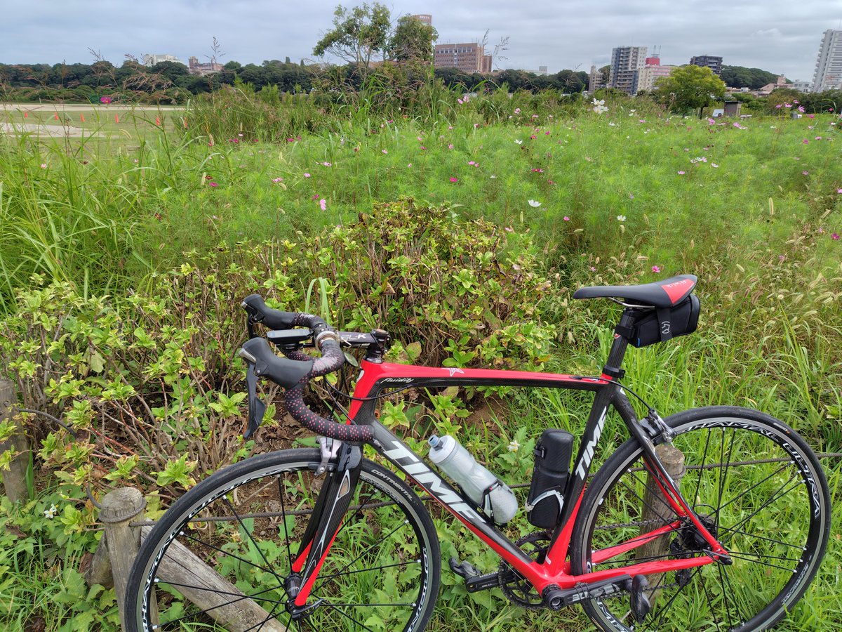 kaztime2's tweet photo. 今日の午前は江戸サイでライド
薄曇りで気温高くなく快適だったな😀
コスモスも少しづつ咲き始めてやっと秋が始まった〜😇 https://t.co/sZ2xlmjjUj