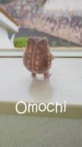 Thanks to my buddy called $omochi at around $200ish k on SOL and hit 6mil
And Eth one at 90k, 2mil at the moment
🙆🏻‍♂️