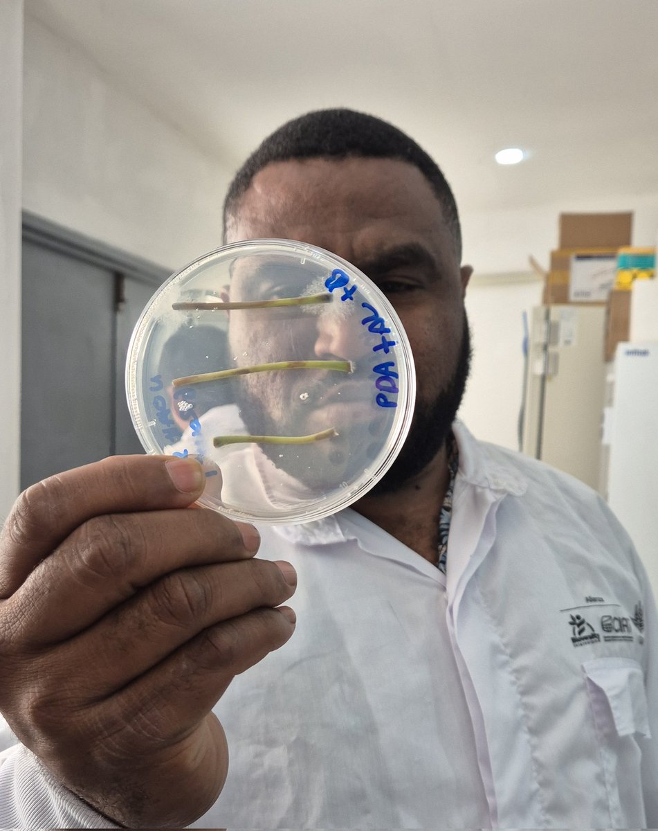 Wilmer Cuellar tweet media