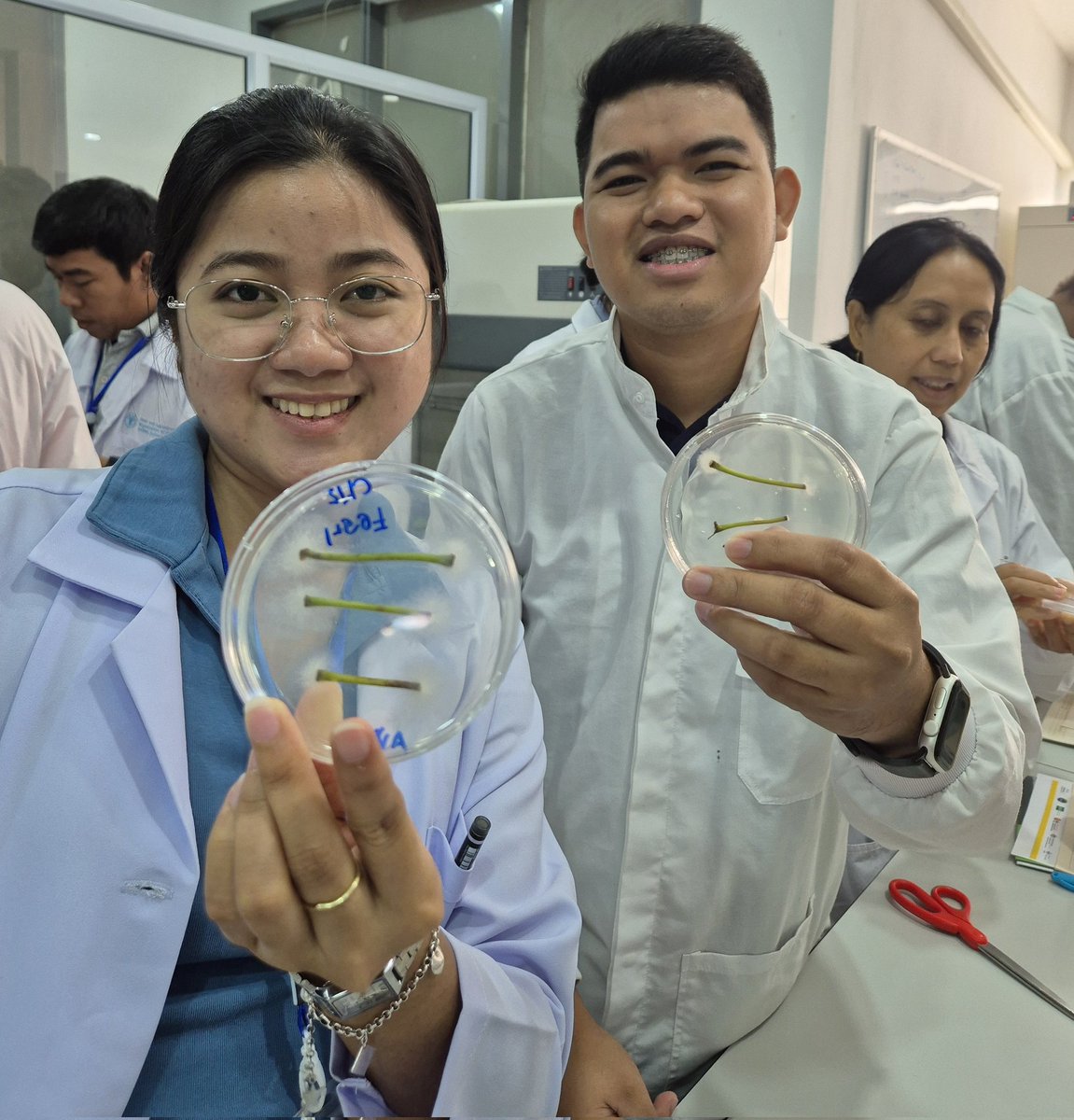 Wilmer Cuellar tweet media