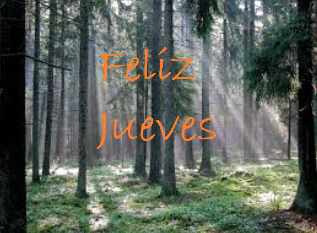 magoTodoPoder's tweet photo. Buenos días, queridos amigos del mundo de internet. En este mensaje solo os quería desear un Gran y Maravilloso día. Como todos sabréis, hoy es el día mundial de casuario, ave que representa la muerte. Vivid el momento del presente y del futuro pero contado con el pasado. Adios. https://t.co/mSuUyiW1eG