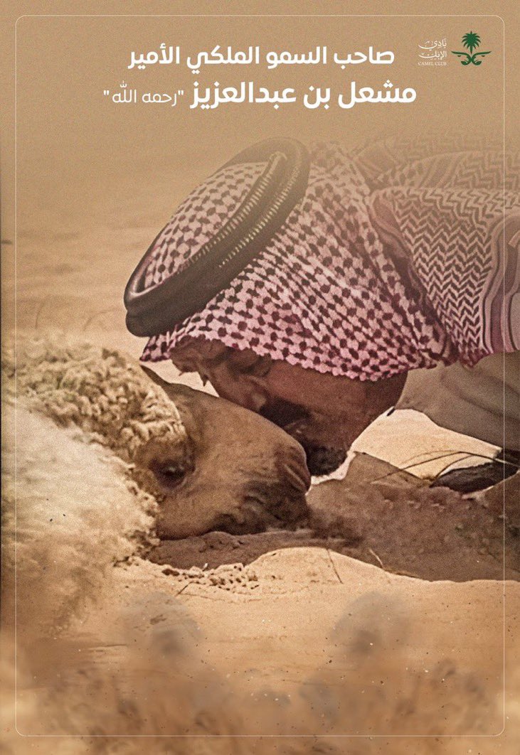 المحامي عبد الرزاق الملحم⚖️ tweet media