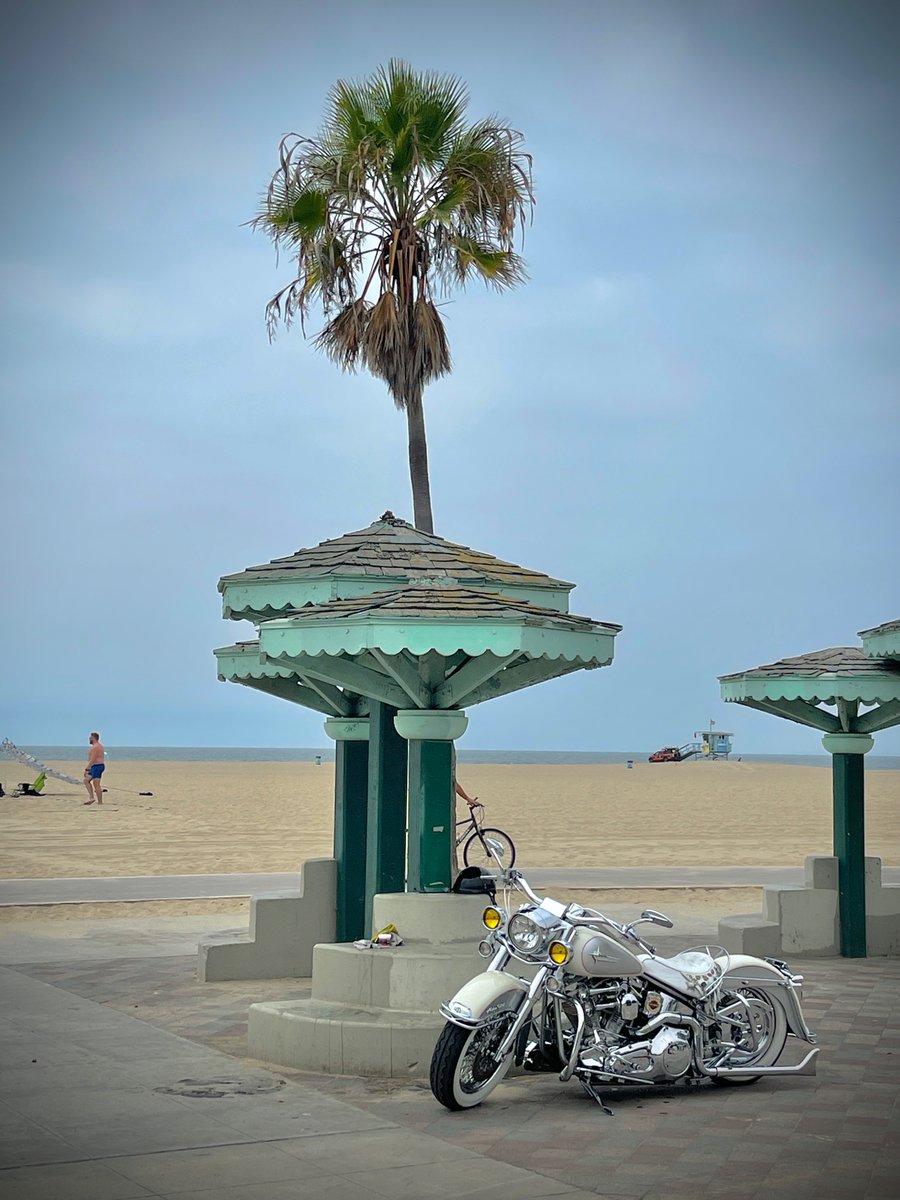 DrTepi's tweet image. A beautiful sight on #venicebeach #california