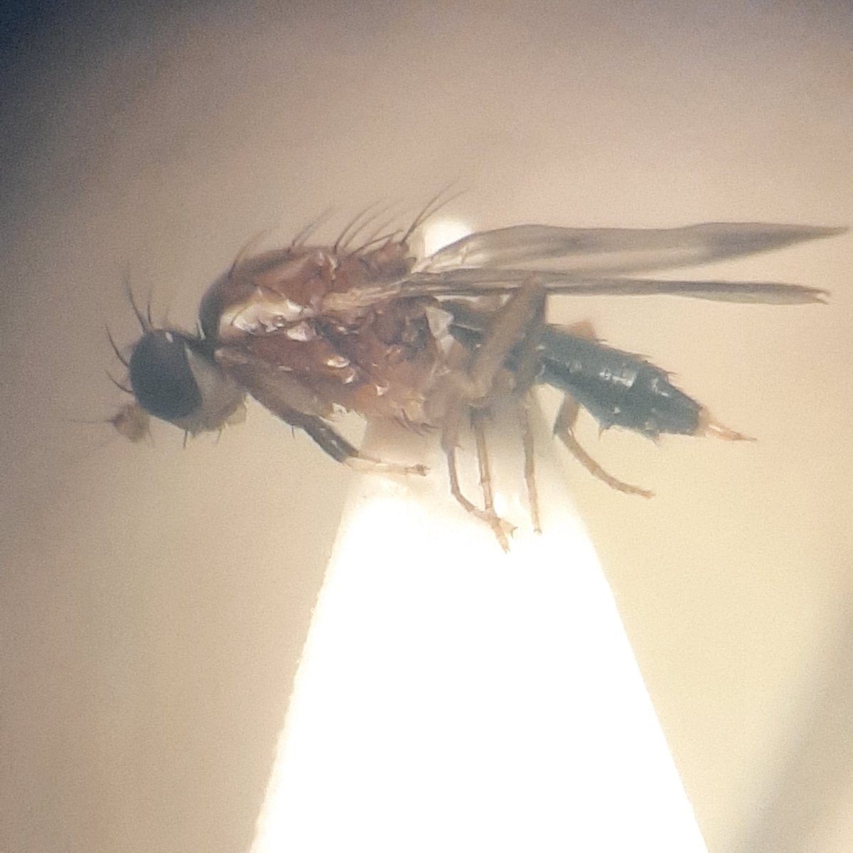 Hilco Meijer tweet media