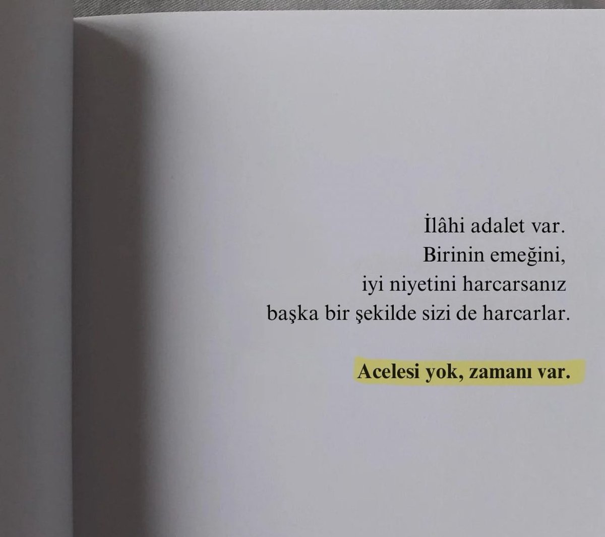 Didem Gümüş (@gms_didem) on Twitter photo 