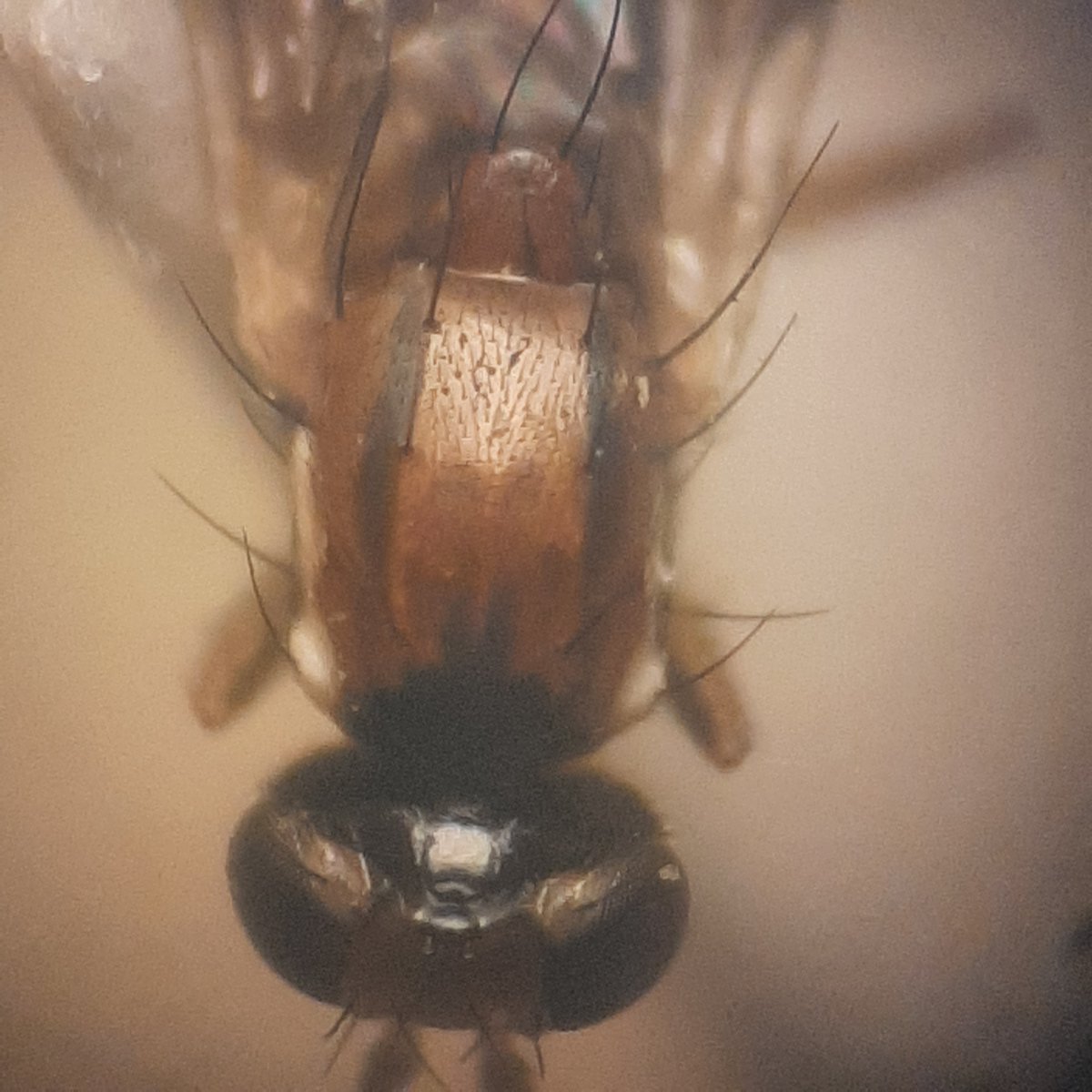 Hilco Meijer tweet media