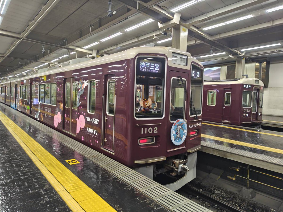 hankyu_ex's tweet photo. かわいい…かわいいですね…
ゴールデンオリーブの座布団に座ってるのもまた良しですよね… https://t.co/mGryUDE6DO