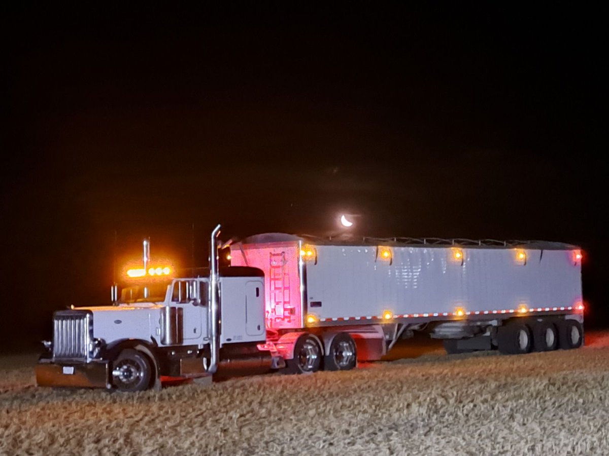 Rob Willoughby tweet media