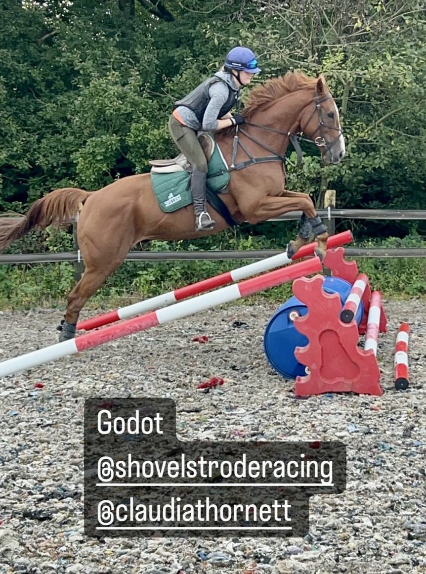 Our talented event rider, Claudia Thornett, giving Godot a pop in the school yesterday🧡