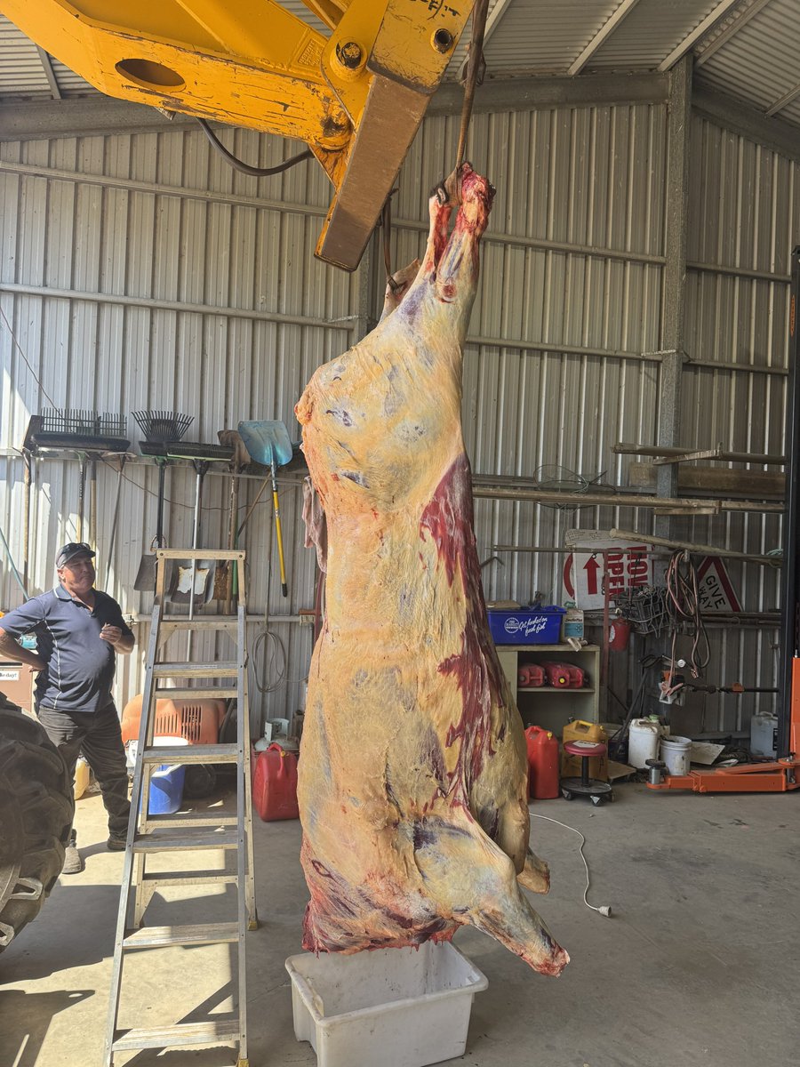 Time to fill the freezer!