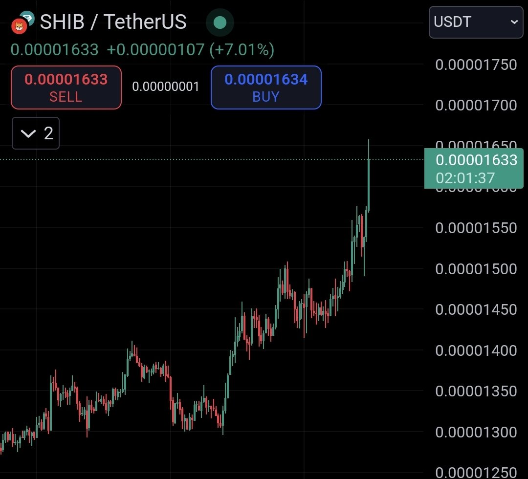 army_shiba's tweet photo. $SHIB is for the Win! Let's gooo! ๐ https://t.co/hhSxy4xcCj