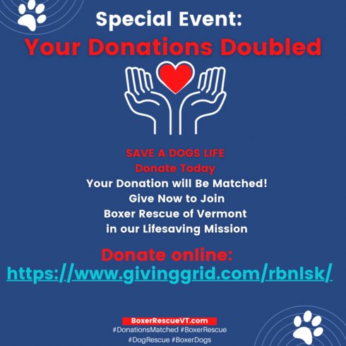 BoxerRescueVT's tweet photo. 🆘 URGENT Fundraiser
https://t.co/f8dQS79Tw7 plz donate+follo @BoxerRescueVT
@BeeAsMarine
@1_McRider 
@LindaBu21204262 
@boxerdoglover_9 
@ScoutBoxer 
@Henry_Boxer 
@PilotsNPaws 
@pettheftaware 
@ECOAlphaTango 
@WokeChiweenie 
@kimgal66 
@huston_dan
💕
@CTrebaul 
thNx 4 sharing https://t.co/JgjWUkMsV6