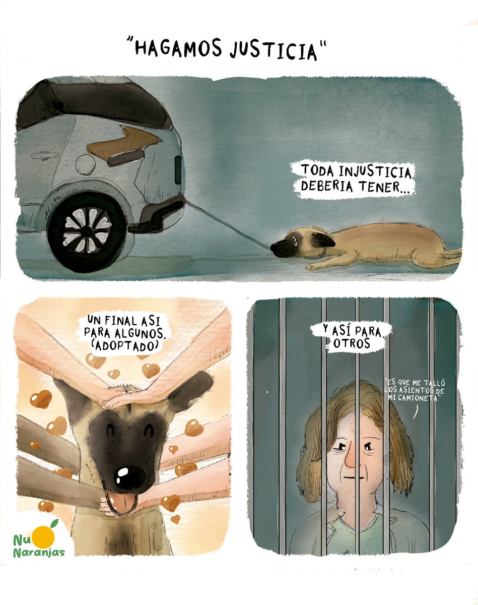 NuNaranjas's tweet image. 🍊 Catalina Ledesma arrastró perrito 🐶 con su camioneta y es detenida por acto de crueldad animal. 

El perrito fue rescatado y está al cuidado del Gobierno de Tlaquepaque (México) . Hay un refugio interesado en llevarse al perrito y darlo en adopción.🧡🙌