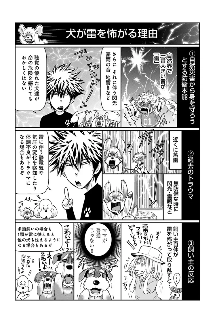 🔔更新情報🔔
『DOG SIGNAL』(作:みやうち沙矢@DogSignal)
第52話④を公開しました!
犬が雷を怖がる理由はさまざまで--⚡どうぞお楽しみください!
https://t.co/Vvr74hnoZs
#カドコミ #コミックブリッジ #うちのこシグナル