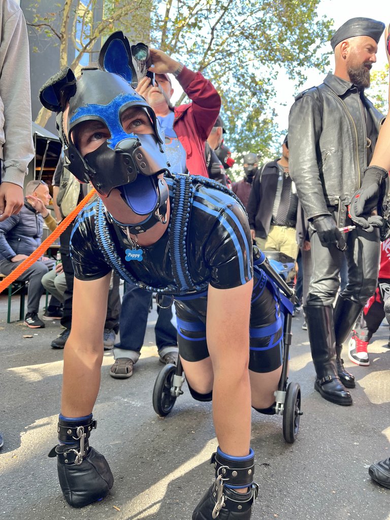 ABDL_jabc's tweet photo. A bit late with the pictures but @FOLSOMEUROPE was awesome 😎 
@Rubys_ABDLove
@Little_Cassy_ 
@Kristof_abdl 
@SubPup_TiJay
📸 @bouncingbalinst https://t.co/hb77ZL7JSl