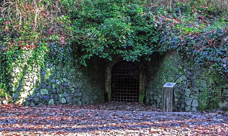 Sabíeu que ben a la vora de la parada de Ferrocarril del Baixador de Vallvidrera fins al pantà de Vallvidrera hi ha un túnel que va per sota de Collserola de quasi 1'5km? Aquesta construcció de 1885 ha tingut diferents finalitats. Fil ⬇️⬇️