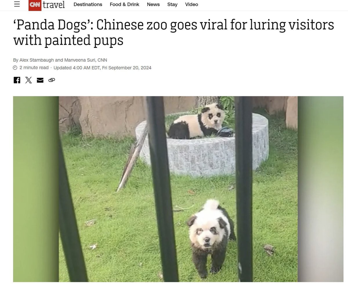 KiiDBullish's tweet photo. @HopiumPapi of all the zoo animals $panda is the real meme
dog painted as a panda
#dogfolio #wif of zoo animals https://t.co/2opQGPSEZY