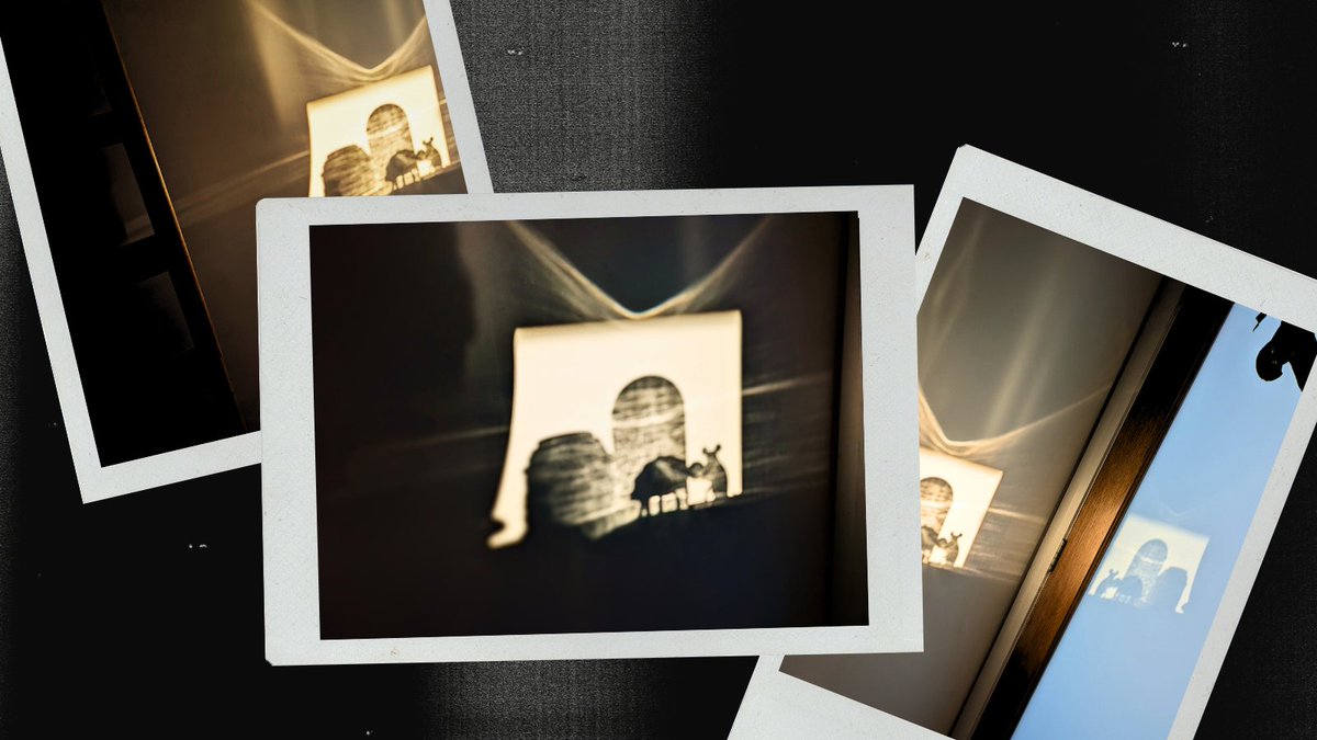 samueljhalpin's tweet image. Caught some magic this AM...☀ A shadow theatre appeared on my wall, taking me to an old, sandy land where mice ride camels and the buildings are shaped like tombs. 🐭🐪
Books have the power to transport us too. What stories come to mind when you see this? I'd love to hear! 📚✨
