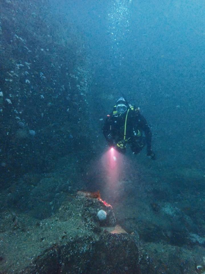 BSACDivegod's tweet photo. Club members participating on diving activities from the hardboat Gladtidings around the Farne Islands.
https://t.co/8DR666PQOv https://t.co/SR7xViFUrd