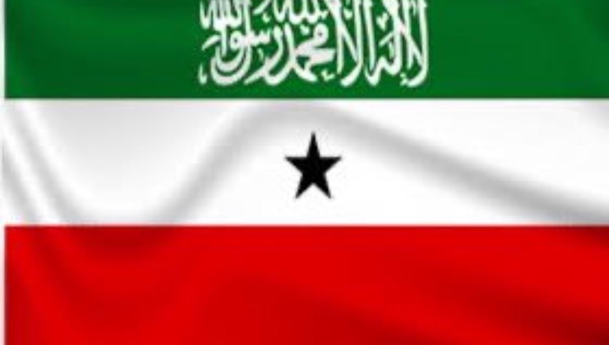 FOSLand0923's tweet photo. We’re planning weekly ‘Diaspora’s Corner’ for Somalilanders

Inspired by the famous quote “Ask not what your country can do for you Ask what you can do for your country”

One Guest
One hour

How to Unite Somalilanders Everywhere and Contribute to positive change💚🤍❤️

Stay tuned https://t.co/T3Ml5zBmde