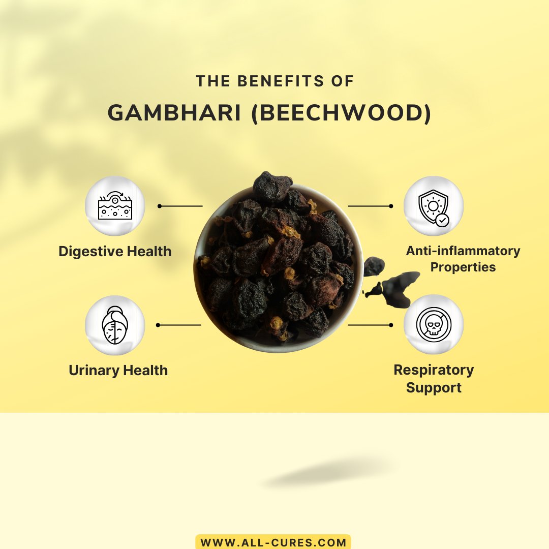 allcuresinfo's tweet image. #gambhari #beechwood 
Gambhari, commonly known as Beechwood and botanically called Gmelina arborea, is a powerful herb used extensively in traditional medicine, particularly in Ayurveda and Siddha....Read more
all-cures.com/cure/5075