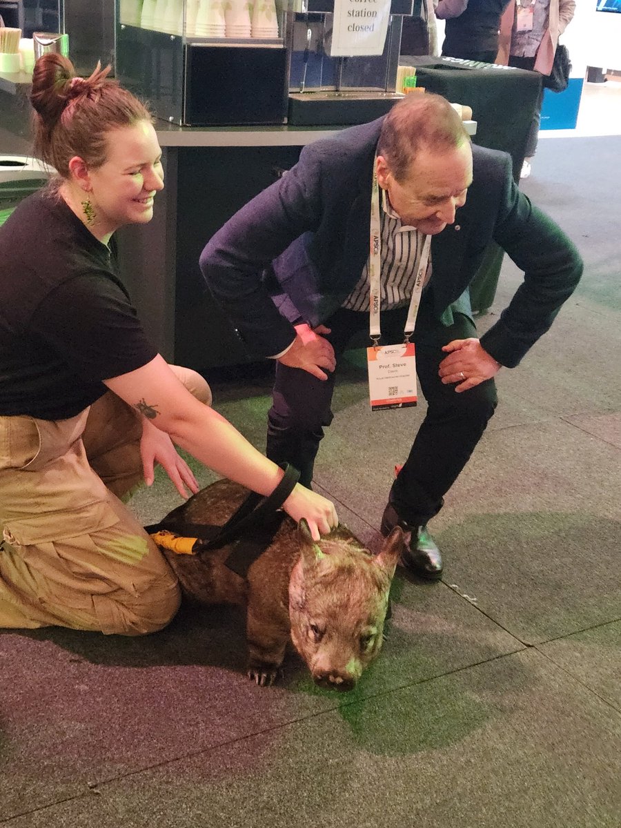 Wombats at #APSC24