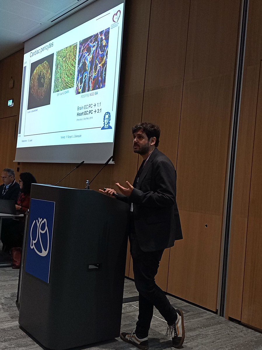 Guillermo Luxán (@gluxan) on Twitter photo Good morning Hamburg! Happy to contribute to <a href="/DGK_org/">Deutsche Gesellschaft für Kardiologie</a> Herztage exploring repair signalling beyond cardiomyocytes. Pericytes are very cool cells crucial for cardiac homeostasis and should be taken into account for cardiac repair.
<a href="/CPI_ExStra/">CPI</a> <a href="/InstCardReg_FFM/">Institute of CVR</a> Good morning Hamburg! Happy to contribute to <a href="/DGK_org/">Deutsche Gesellschaft für Kardiologie</a> Herztage exploring repair signalling beyond cardiomyocytes. Pericytes are very cool cells crucial for cardiac homeostasis and should be taken into account for cardiac repair.
<a href="/CPI_ExStra/">CPI</a> <a href="/InstCardReg_FFM/">Institute of CVR</a>