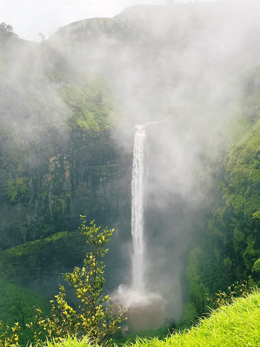 Nature at its best♡
#Waterfall #NatureBeauty #Peace #green #beauty #mazegaav