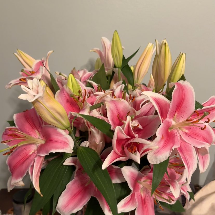 itsreamm's tweet image. my favorite thing to look at