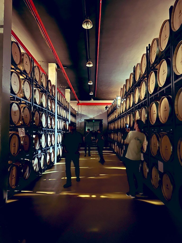 Danijela Vrzan tweet media