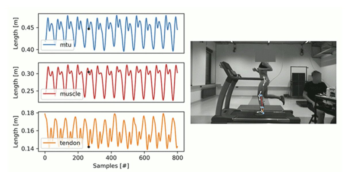 PULP Platform tweet media
