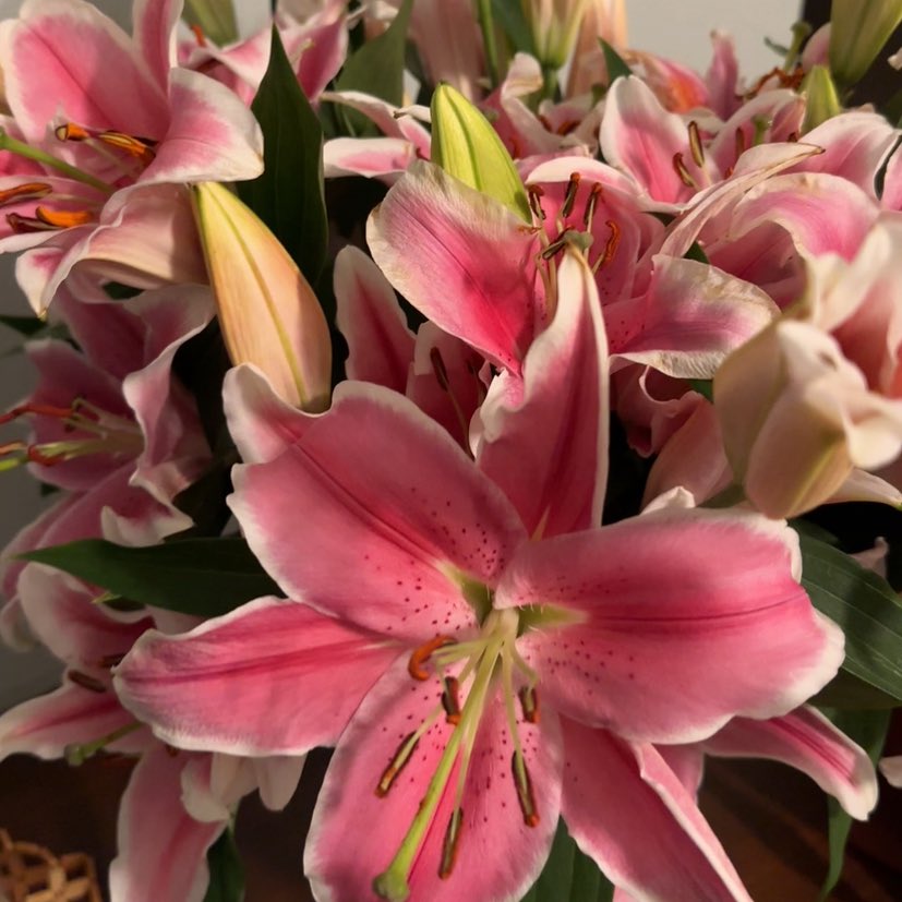 itsreamm's tweet image. my favorite thing to look at