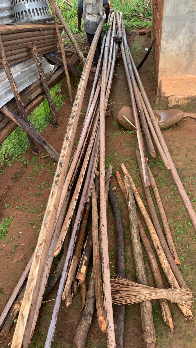 FungomF's tweet photo. As a measure to secure the compound, we are using locally sourced materials to construct a fence that will help keep away stray animals from encroaching into our property and destroy our farm produce.
#bamboo #fence #construction #localmethods #FungomFarms https://t.co/QsuClZVEBd