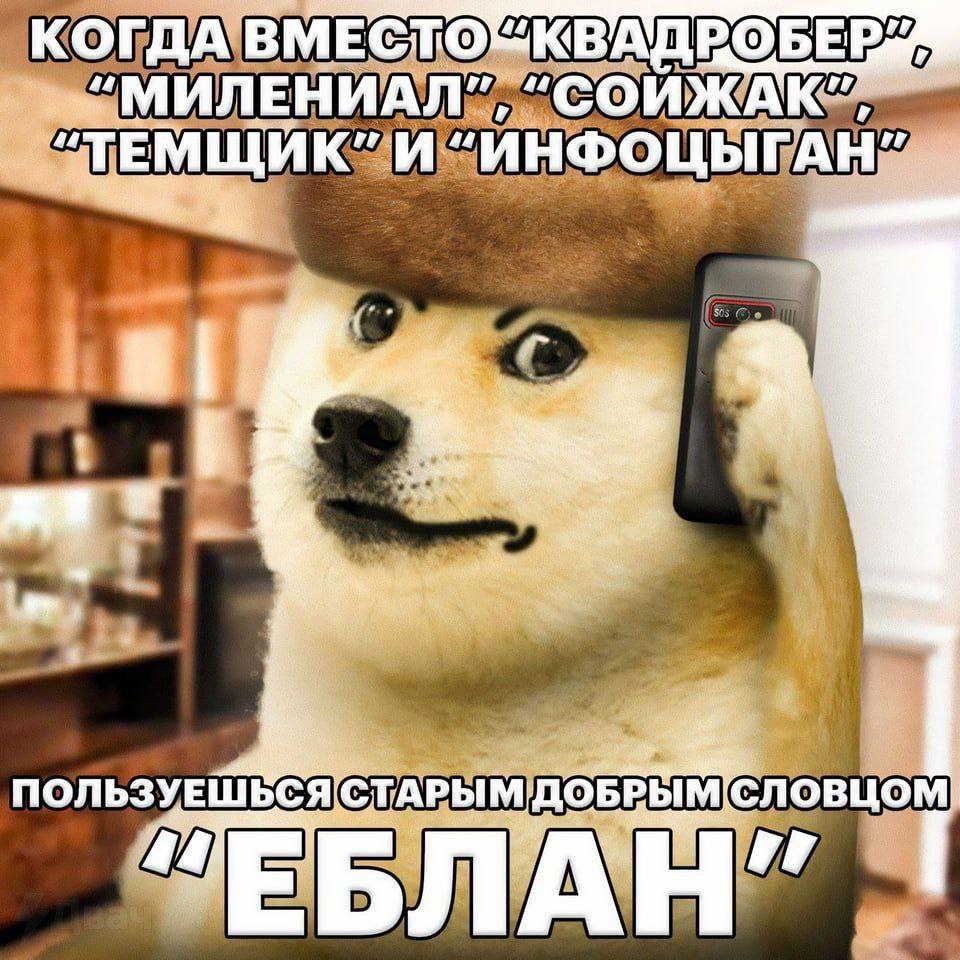 blogmoyeykuku's tweet photo. https://t.co/kiogieOCFw