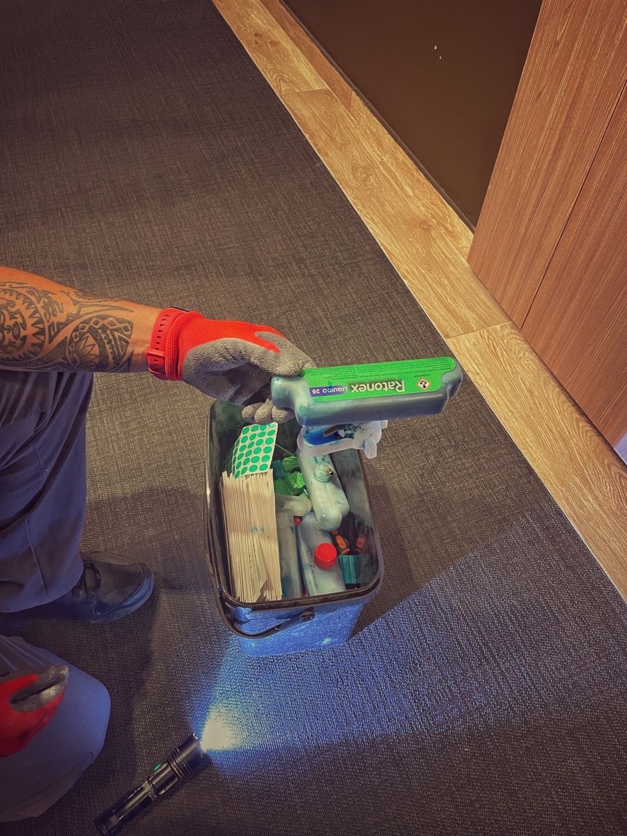 system_pest's tweet photo. #Tratamiento contra #Roedores en un #Edificio

Inspeccionando en falsos techos, se identificó un punto de actividad. Se instalaron medios de captura. Acabamos tranquilos de saber que los residentes podrán disfrutar de su casa

#controldeplagas #administradoresdefincas #plagas https://t.co/9Ln4IRJIPE
