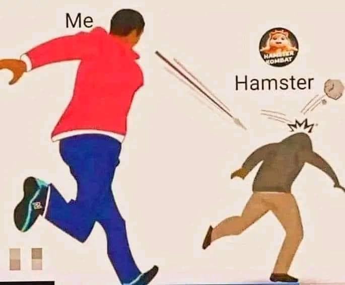 OtokpaO's tweet photo. "ALERT! Hamster Kombat token launch turns out to be a SCAM! Investors lost funds due to fake promises, pump & dump scheme, and anonymous devs. Beware of suspicious projects! Report and block! #HamsterKombatScam #CryptoScam #TokenTrap #StaySafe" https://t.co/aOmNDQVcTB