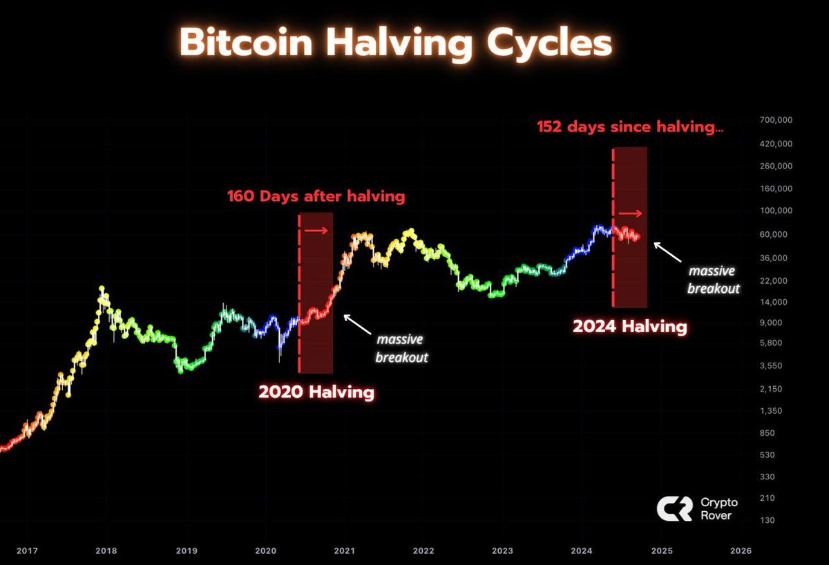 cryptorover's tweet photo. The #Bitcoin bull market is about to start!

Are you ready? https://t.co/FdsDGFI8aT