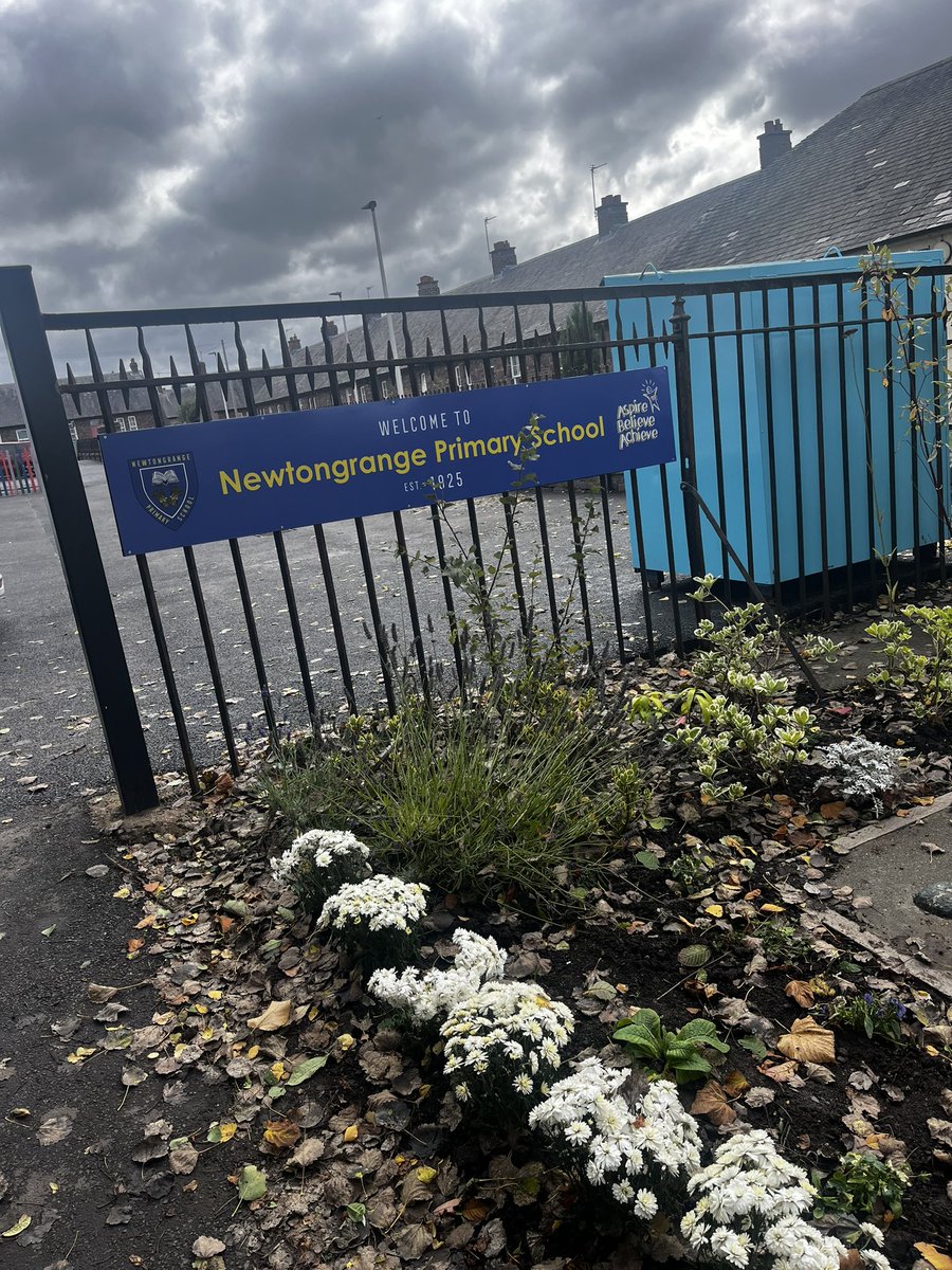 NewtongrangePS tweet media