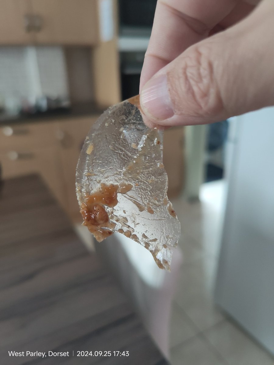 BmthChris's tweet photo. @PukkaPies found this inside an all-steak pukka pie last night! Great pies otherwise!! https://t.co/S6fcc87fJx