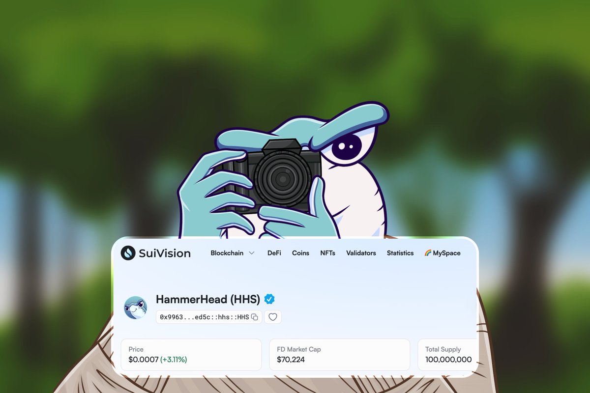 HammerHead.sui tweet media