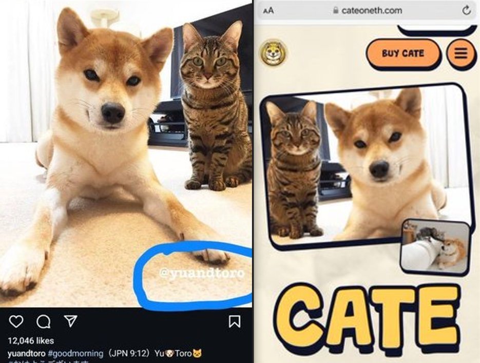 toro_cto's tweet photo. Sound interesting, how about I show y'all about $TORO the cat!🐈

-Community driven! 

-Low mc means big potential 

-CTO team has big plans

-Photo of $TORO can be found on the $CATE website 🐈📷📷

  #memecoin #neiro #cate #toro #tothemoon #newcoin #bigpotential #vitalik #eth #crypto #ethereum

0x7bef76058087b6de13D59A2cd74c1D34966f7323