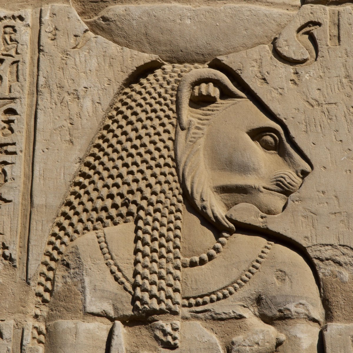 Ancient History Hit tweet media