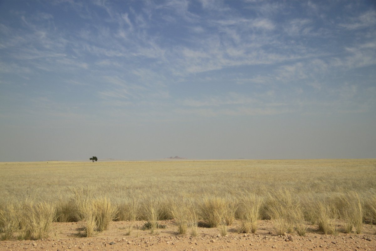 LIAG Institute for Applied Geophysics tweet media