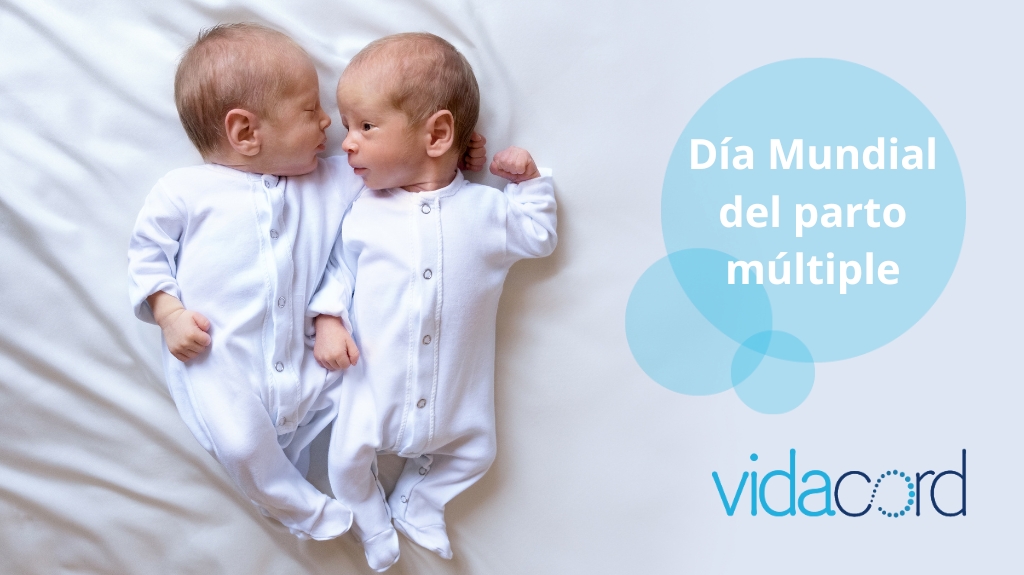 VidaCord tweet media