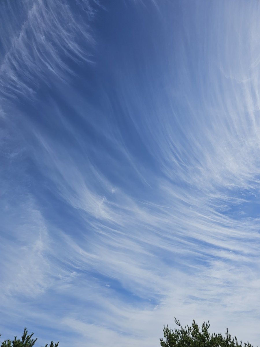 오늘 하늘 무엇?!?!ㅎㅎ
골프 치는분들 연락주세요😍