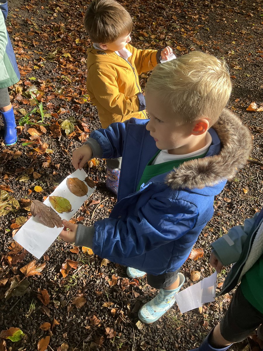 CW Primary School tweet media