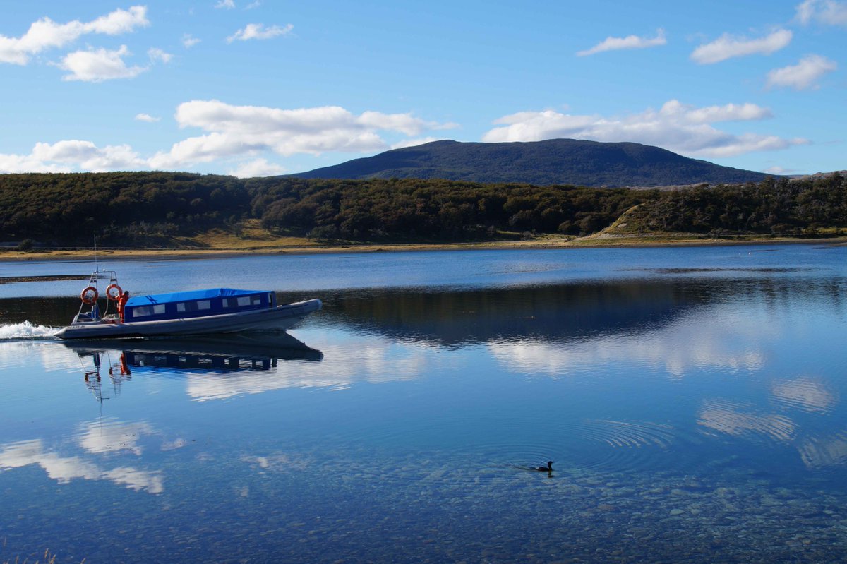 Journey Latin America tweet media