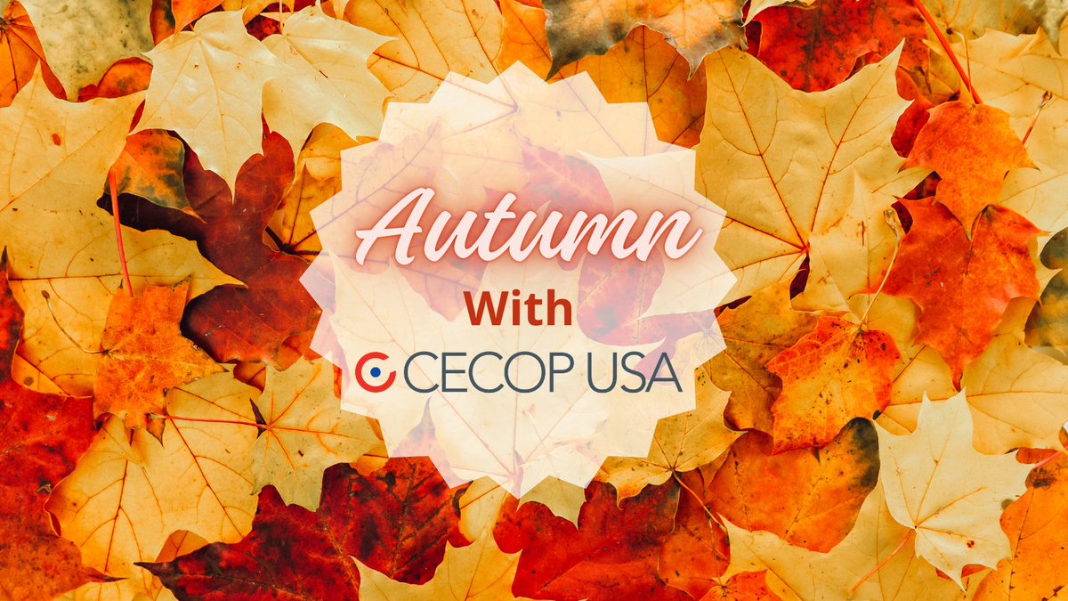 CecopUsa's tweet image. 🍂 Fall is the perfect time to refocus and refresh your optical business strategy! 🍁 From marketing tips to staff training, CECOP USA has your back. Let’s grow together this season. #CECOPUSA #FallBusiness #OpticalCommunity #EyeCareProfessionals